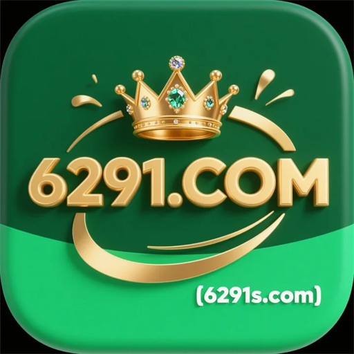6291.com