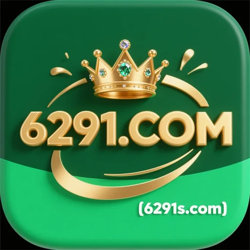 6291.com